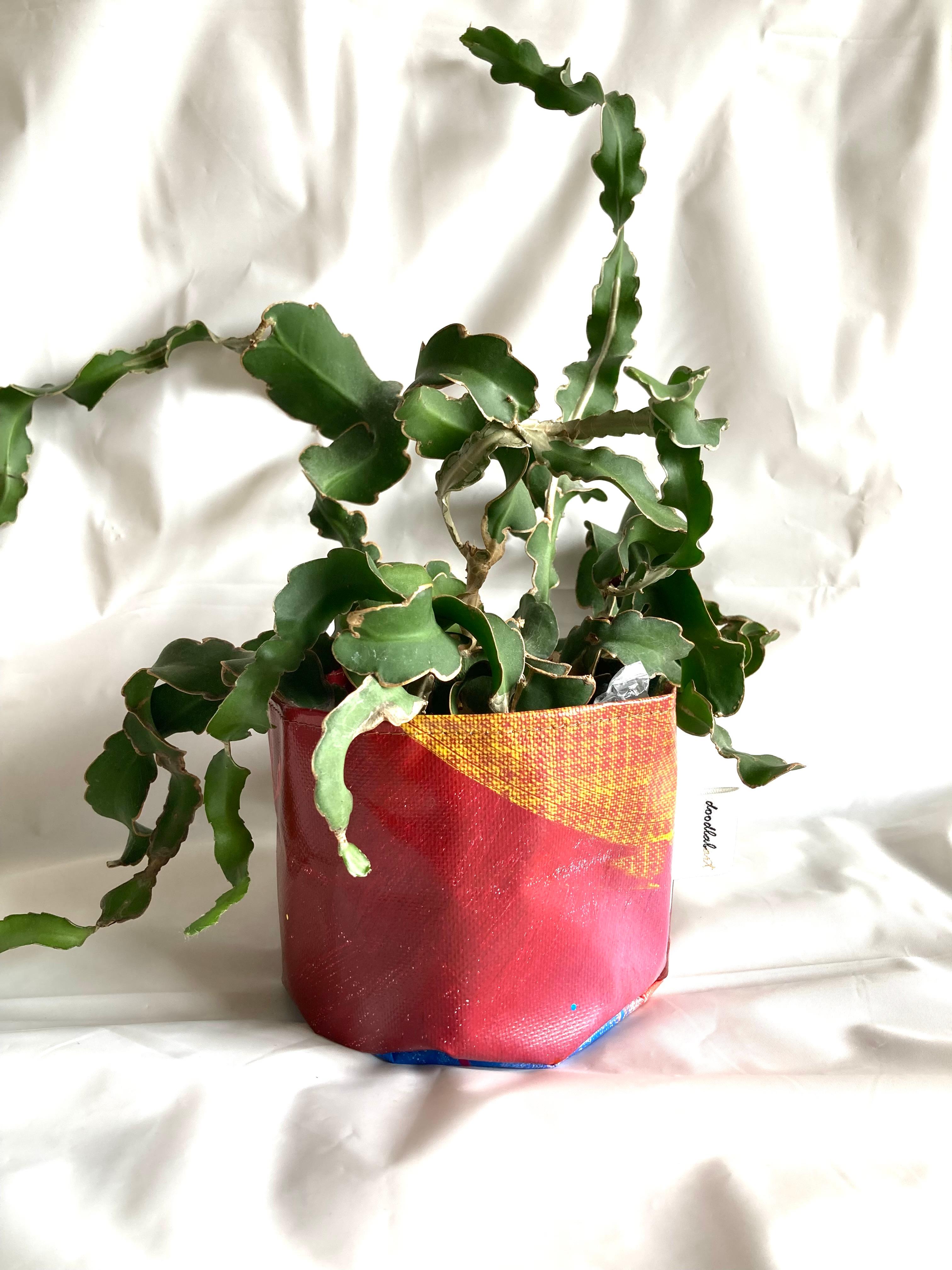 【ペイント　鉢カバー　Sサイズ　PMS5012】プランターカバー/3号/4号/観葉植物/インテリア/アート/1点物1枚目の画像